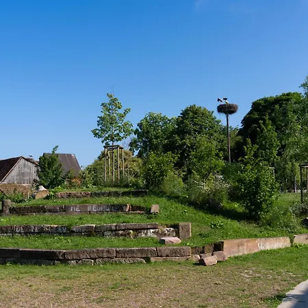 Du Rhin, Le Coin De Mut En Alsace Proche Europa Park *