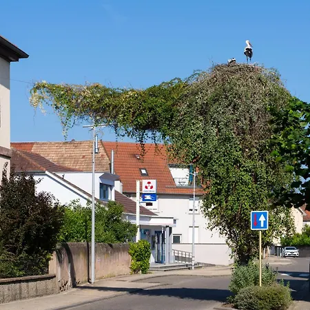 Du Rhin, Le Coin De Mut En Alsace Proche Europa Park
