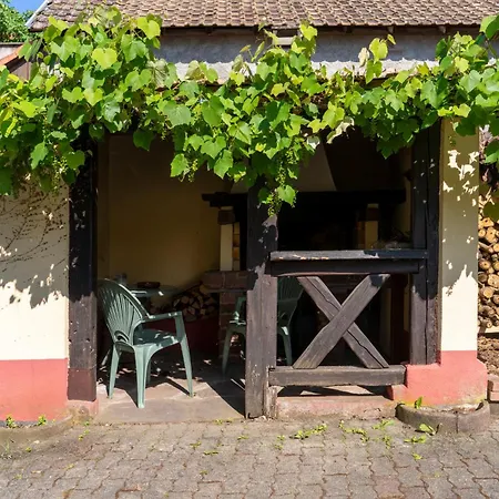 Du Rhin, Le Coin De Mut En Alsace Proche Europa Park Muttersholtz