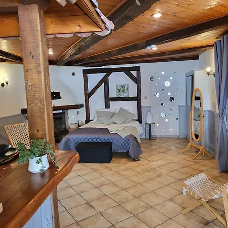 Apartamento Du Rhin, Le Coin De Mut En Alsace Proche Europa Park *