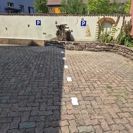 Du Rhin, Le Coin De Mut En Alsace Proche Europa Park Apartamento Muttersholz